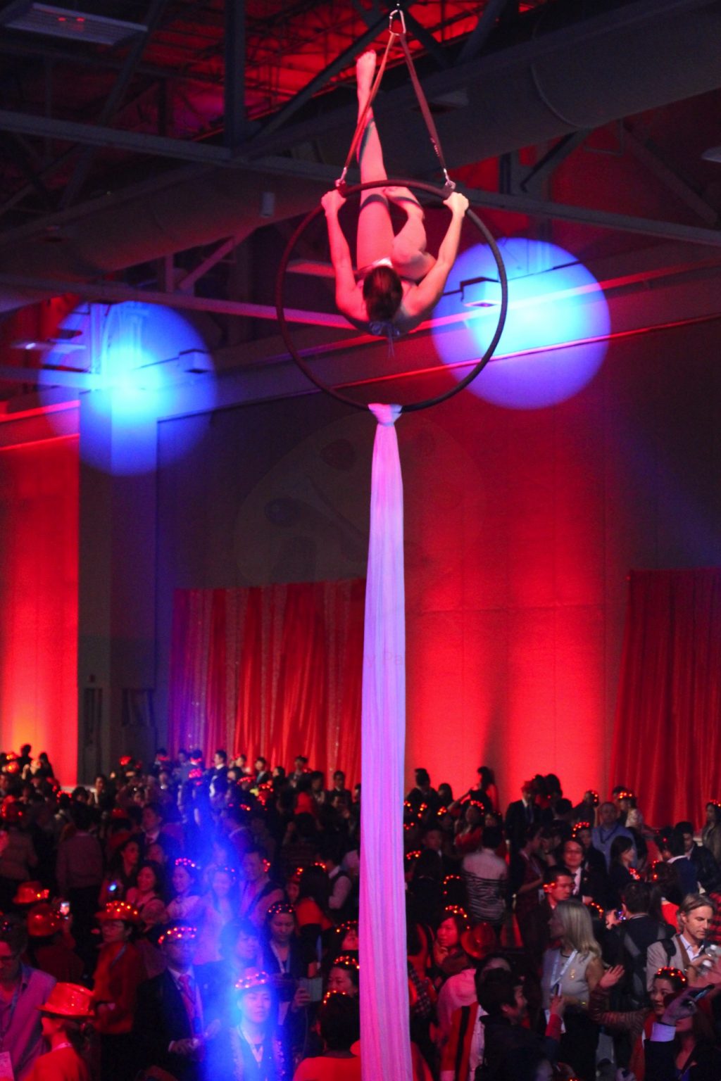 Gallery 9 - Amplifly Aerial Band