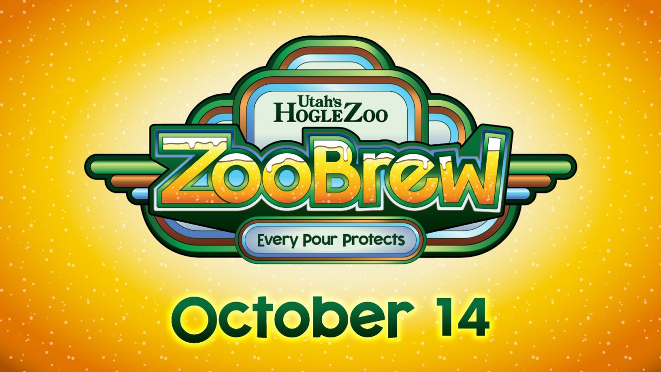 October 14 BrewLights (21+)