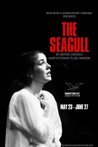 The Seagull