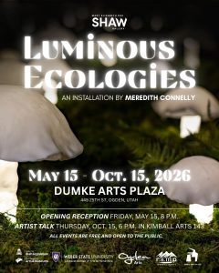 Luminous Ecologies: an art installation by Meredith Connelly