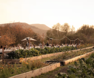 Gracie's Farm Dinner Series | Harvest Dinner